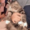 youraa profil fotoğrafı