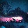 Фото профиля Adrenaline