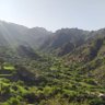 الوتر الجريح's profile picture