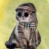 大脸猫's profile picture