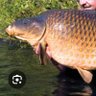 Фото профиля BurghfieldCommon