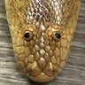 Фото профиля DerpyNoodleDude