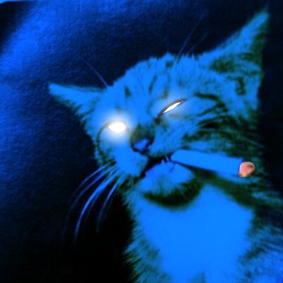 fien' X's profile picture