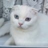 Ігор's profile picture