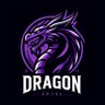 DRAGON profil fotoğrafı