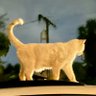 Vicki H's profile picture