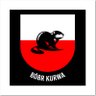 Dobrowski's profile picture