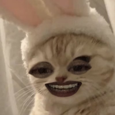 pff_54's profile picture