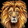 Profilbild von فهد