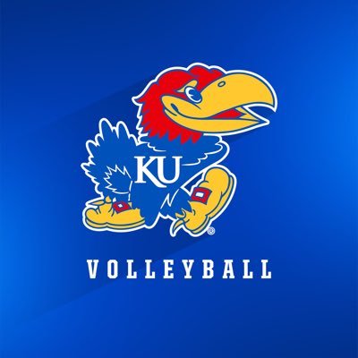 KUVolleyball's profile picture