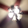 GalaxySizedCeilingFan ็ๅคดๅ