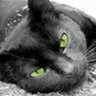 Profilbild von Bell