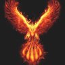 Profilbild von PhynixBrd