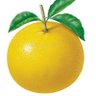Pomelo Liberal profil fotoğrafı