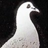 Profilbild von National Registry of Memes