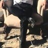 MoHaMeD🐝🔻🇵🇸 的头像