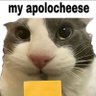 Cat Orange profil fotoğrafı