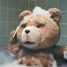 Profilbild von ted🐻