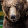 URSO 的头像