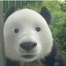csw's profile picture