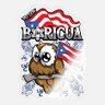 Carlos Rodriguez's profile picture