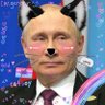 Shane Dawson's cat's profile picture