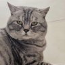 Profilbild von 米修
