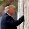 Фото профиля JewishTrump