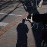Cristhian Silva profil fotoğrafı
