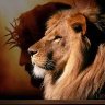 Profilbild von Brian Lancaster