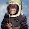 Santos profil fotoğrafı