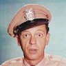 Barney Fife 的头像