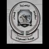 Profilbild von Mohamed hussin