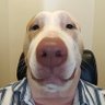 Profilbild von MR2KB