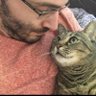 Фото профиля We don't deserve cats 😺