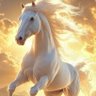 金戈 profil fotoğrafı