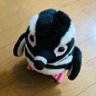 Фото профиля みんな選挙に行こう🇯🇵