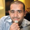 बकलोल नीमो's profile picture
