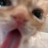 Profilbild von wcnmlgb