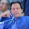 Shah Ji 804's profile picture