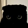 Profilbild von x0