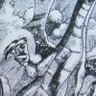 Фото профиля 相場ぽん
