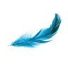 Blue Feather 的头像