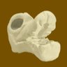 GeeseBones's profile picture