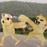 Nekenduku ra pukaaa 的头像