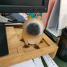 Kerwin profil fotoğrafı