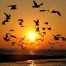 Фото профиля fly bird