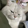 Elena Wong's profile picture