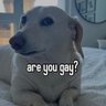 Super J (NSFW)🏳️‍🌈. profil fotoğrafı