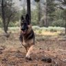 Oshin profil fotoğrafı